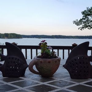 Meet your Posher, Kaki